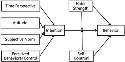 Using an integrated model of the theory of planned behavior and the temporal self-regulation theory to explain physical activity in patients with coronary heart disease